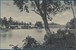 Lot 7107 (2)