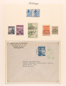 Lot 7113