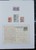 Lot 7113 (54)