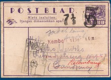 Lot 7135