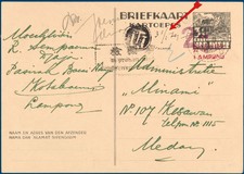 Lot 7137