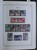 Lot 1438 (41)
