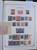 Lot 1503 (13)