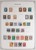 Kavel 501 (2)