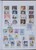 Lot 1387 (21)