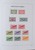 Kavel 1495 (88)