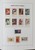 Kavel 1495 (171)