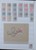 Lot 1029 (25)
