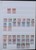 Lot 1029 (48)