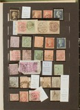 Lot 562