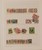 Lot 764 (8)