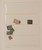 Lot 764 (14)