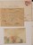 Lot 764 (175)