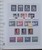 Lot 1259 (41)