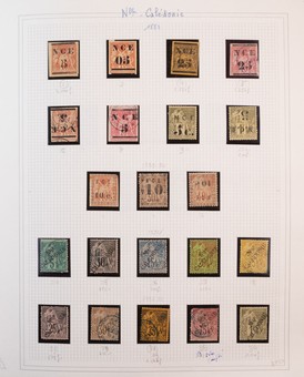 Lot 534
