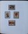 Lot 534 (156)