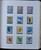 Lot 534 (231)