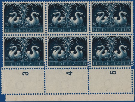 Kavel 3161