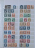 Kavel 1205