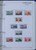 Kavel 1393 (60)