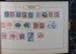 Kavel 1005 (14)