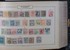Kavel 1005 (61)