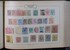 Kavel 1005 (113)