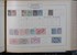 Kavel 1005 (175)
