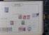 Kavel 1005 (384)