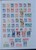 Kavel 1270 (7)