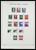 Kavel 1255 (46)