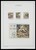 Kavel 1339 (42)