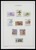 Kavel 1339 (44)
