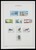 Kavel 1339 (56)