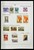Kavel 1439 (60)