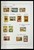 Kavel 1439 (63)