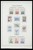 Kavel 1454 (43)