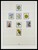 Kavel 1456 (37)