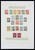 Lot 1488 (15)