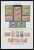 Lot 1488 (23)