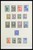 Lot 3391 (15)