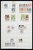Kavel 3447 (263)