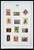 Kavel 1349 (37)