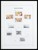 Kavel 1358 (149)