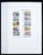 Kavel 1358 (162)