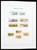 Kavel 1358 (263)