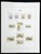 Kavel 1358 (332)
