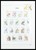 Kavel 1358 (341)