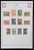 Kavel 1421 (48)
