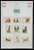 Kavel 1421 (134)
